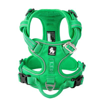 Comfortable, Durable Dog Harness