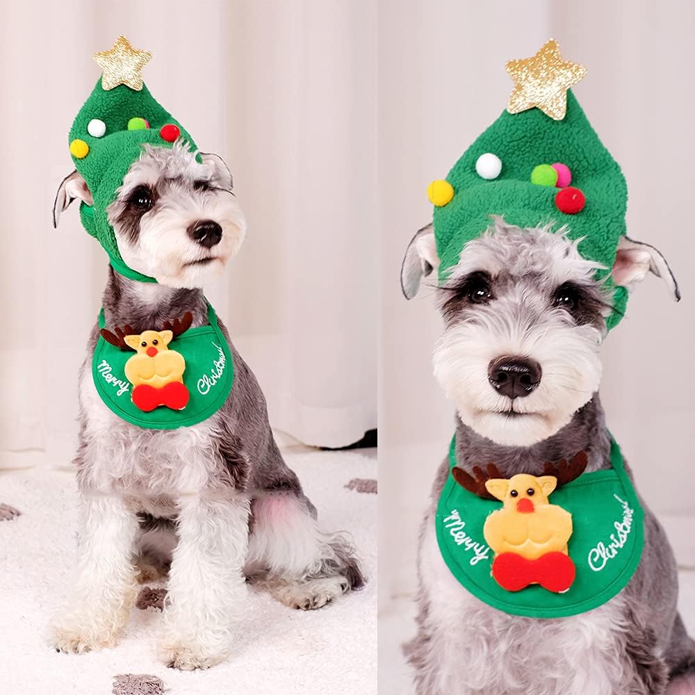 Cute Holiday Hat for Pets