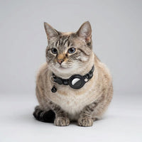GPS Cat Collar with Real-Time Tracking and Safety Features