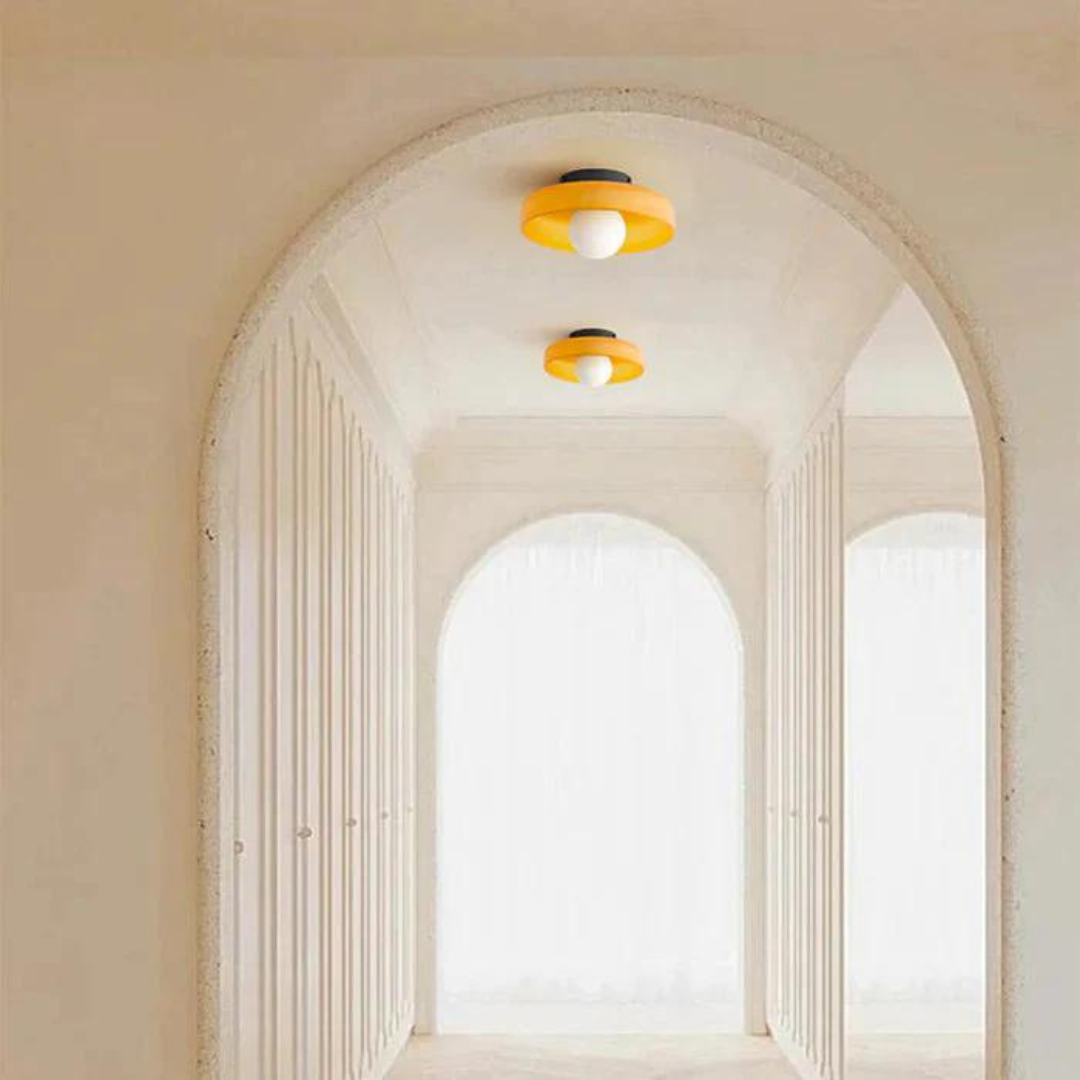 Modern Ceiling Lamp with Stylish Colours