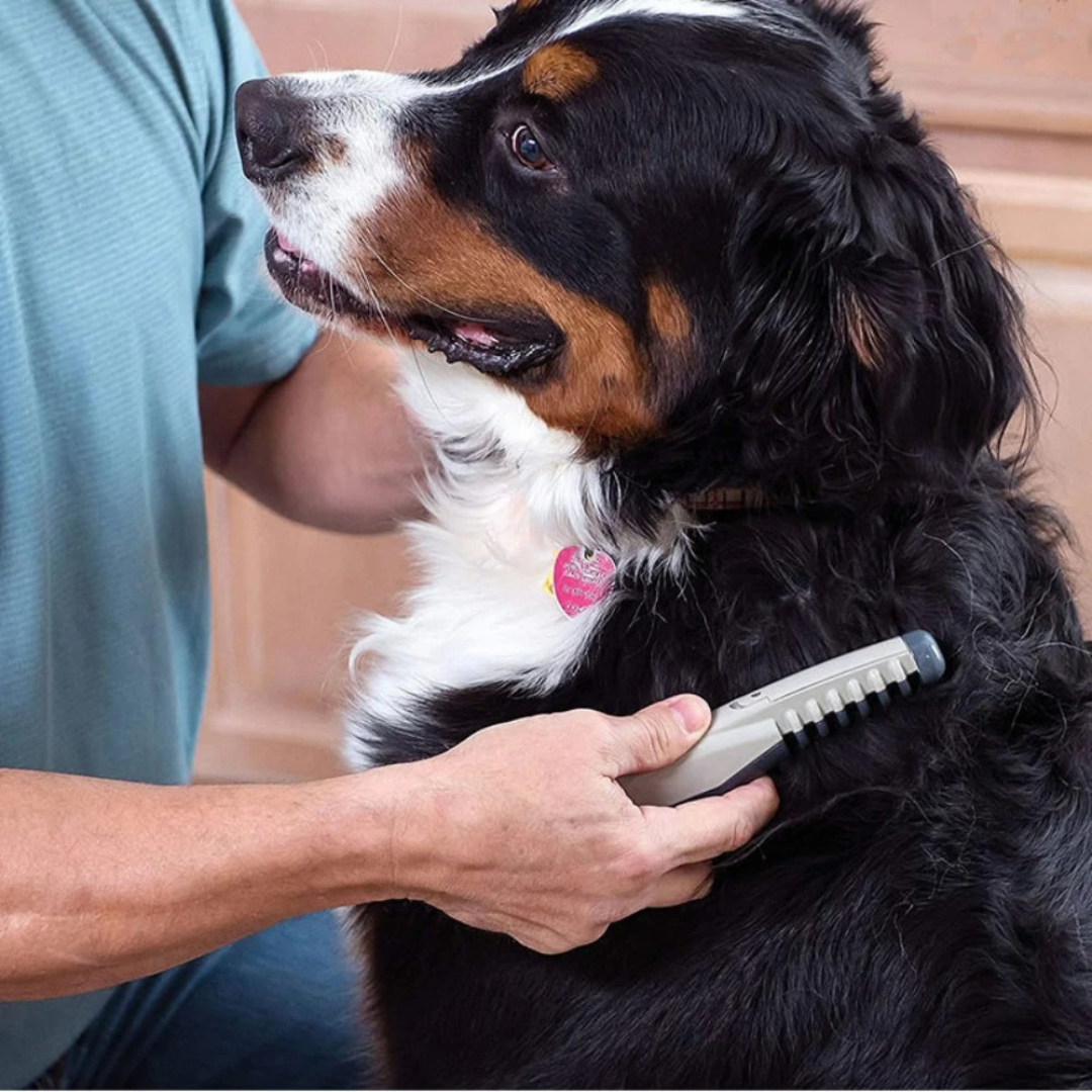 No More Tangles and Knots for Your Pet