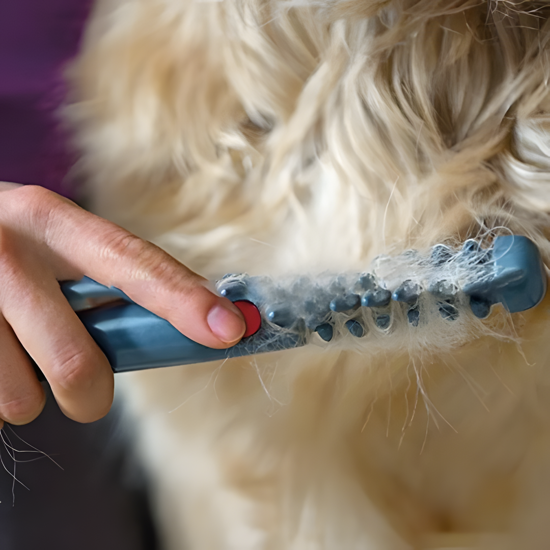 No More Tangles and Knots for Your Pet