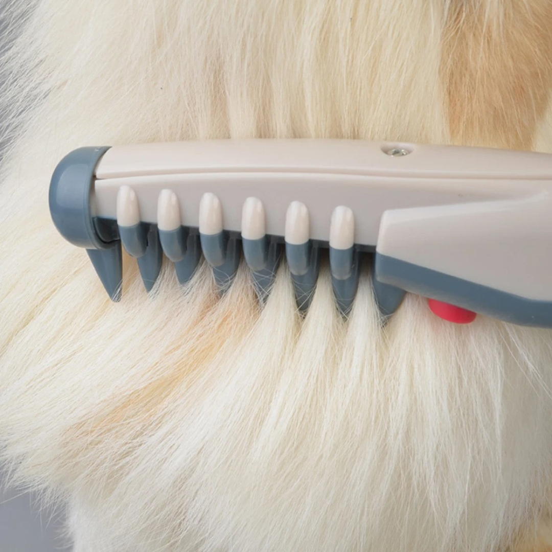 No More Tangles and Knots for Your Pet